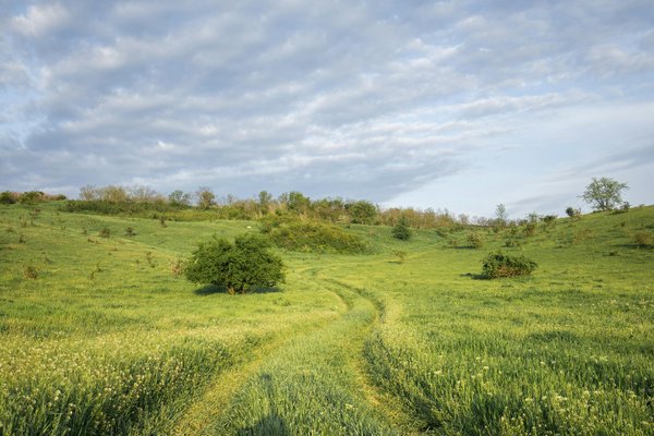 Séjour familial au camping le lagon d'argelès-sur-mer