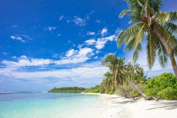 Éveillez vos sens au camping 5 étoiles des vosges
